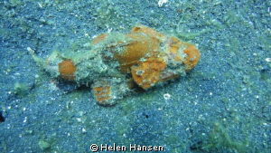 not sure what this is called any one ? by Helen Hansen 